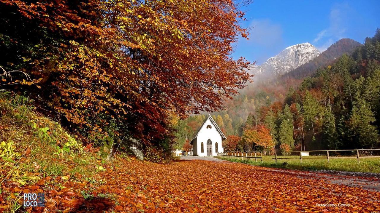 Hotel Lunga Via Delle Dolomiti Calalzo di Cadore Zewnętrze zdjęcie