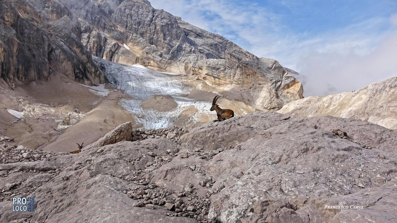 Hotel Lunga Via Delle Dolomiti Calalzo di Cadore Zewnętrze zdjęcie
